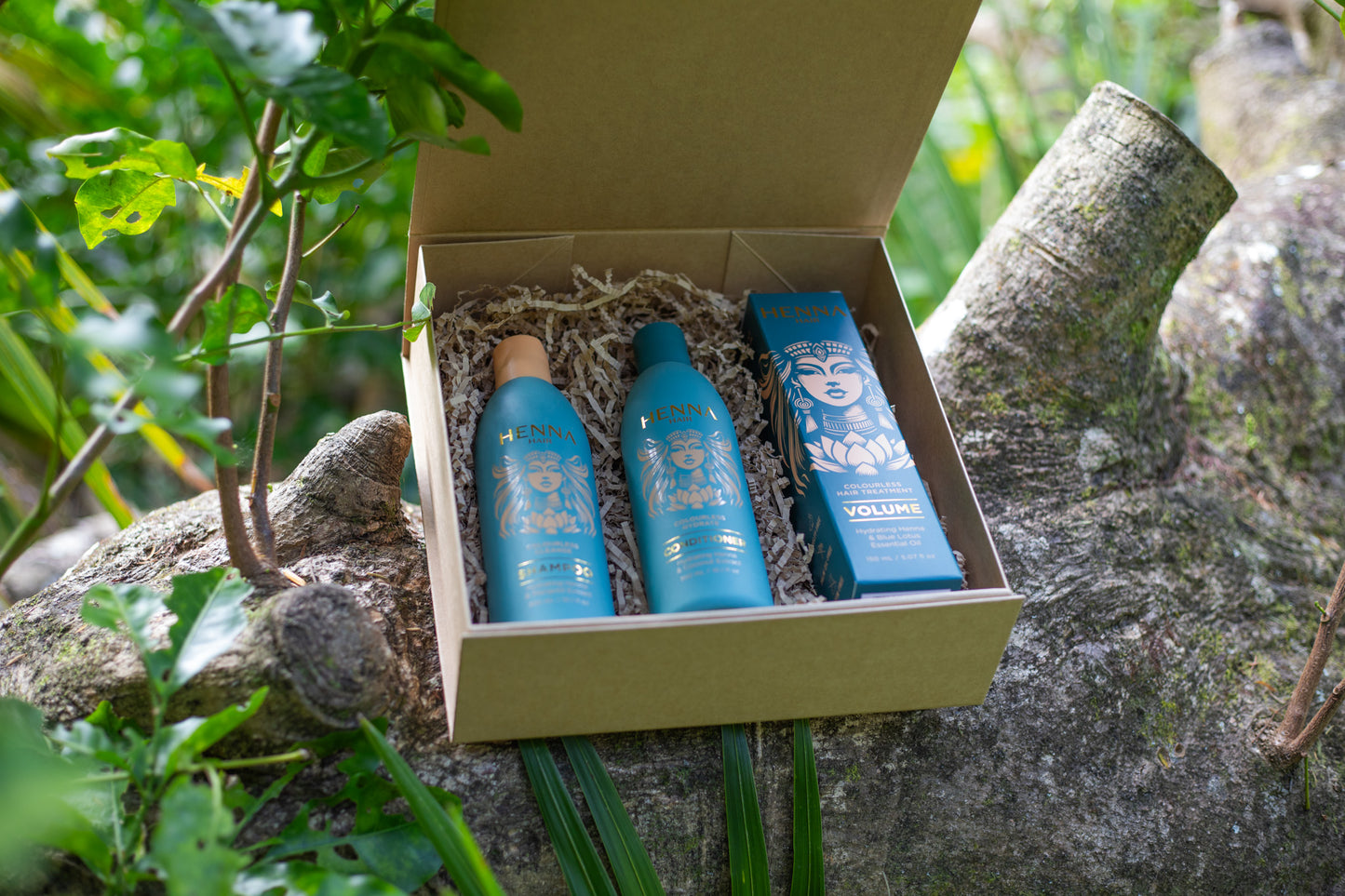 Henna Hair Gift Pack